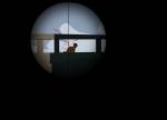Pirate Shootout