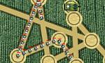 Crop Circles