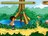 Rain Forest Adventure
