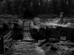 Ghostscape 2 - The Cabin