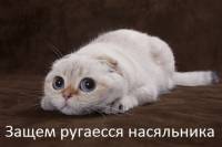 запуск виновс