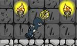 Ninja Plus
