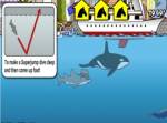 Sydney Shark