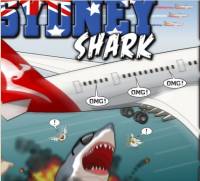 Sydney Shark